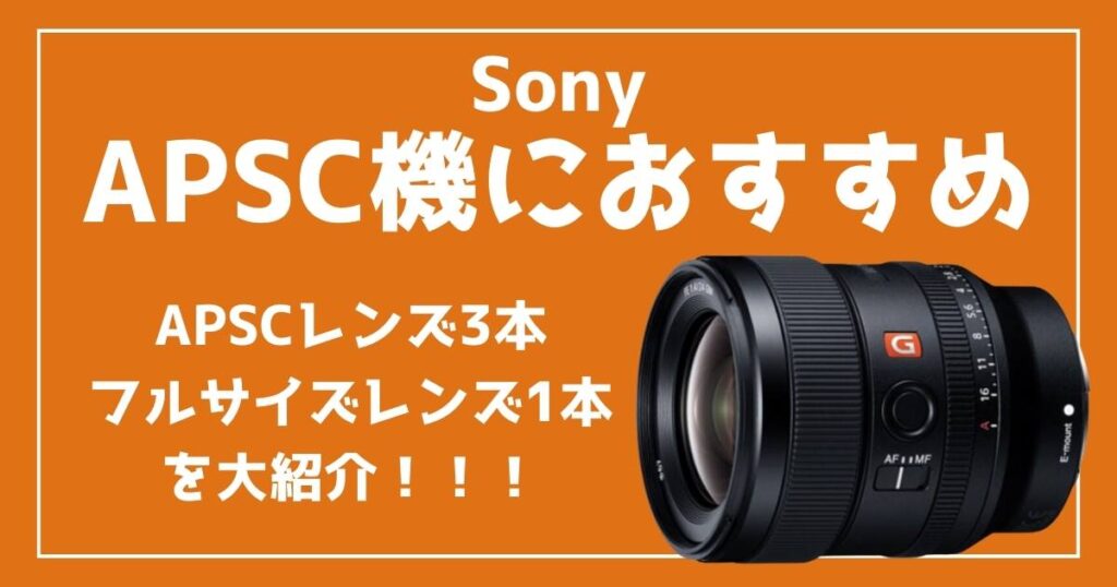 【APSCレンズ】Sonyのおすすめレンズ