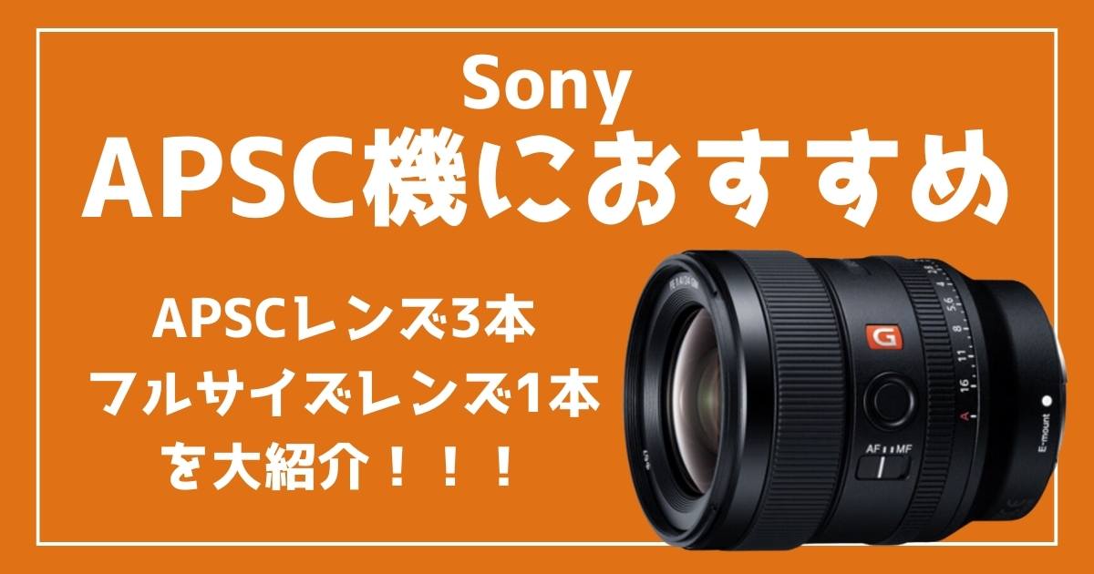 【APSCレンズ】Sonyのおすすめレンズ
