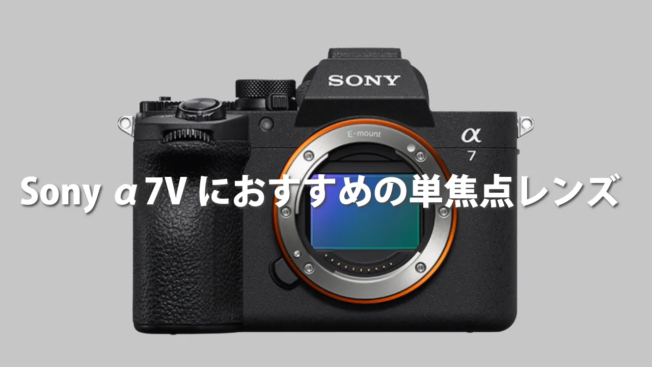 【2026年最新】Sony α7 Vにおすすめの単焦点レンズ5選！初心者でも写真が劇的に変わる「神レンズ」はこれだ